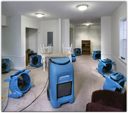 Emergency Water Damage Services in Bastrop, TX