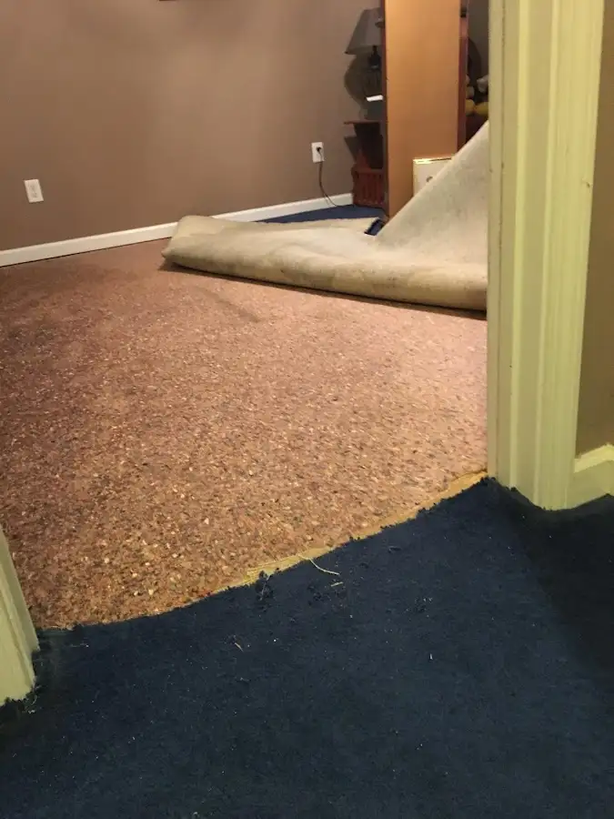 Carpet pad removal revealing water damage during Drying & Dehumidification in Bastrop