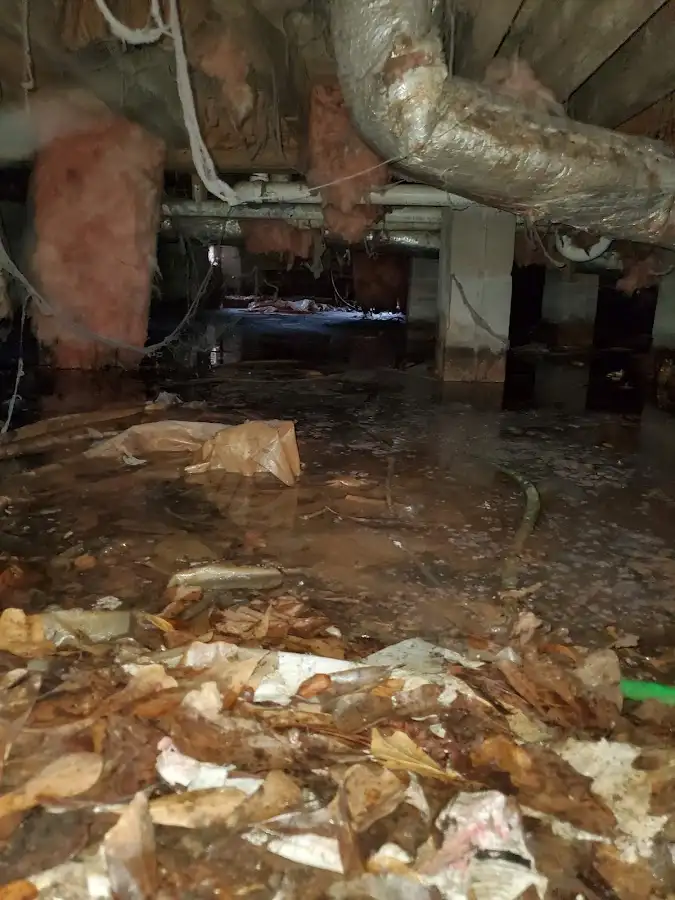 Crawl space flood assessment for Commercial Water Damage Restoration in Bastrop